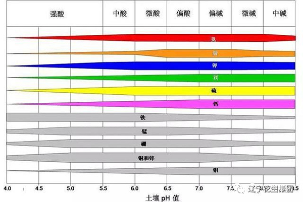 農(nóng)業(yè)小知識(shí)-土壤病了！用再多肥料也白瞎！